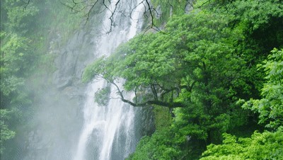 遂昌3处上榜丽水山景首批示范基地名单来一次就喜欢上了